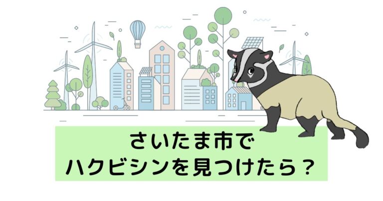 さいたま市でハクビシンを見つけたら！放置NGの理由や駆除について解説