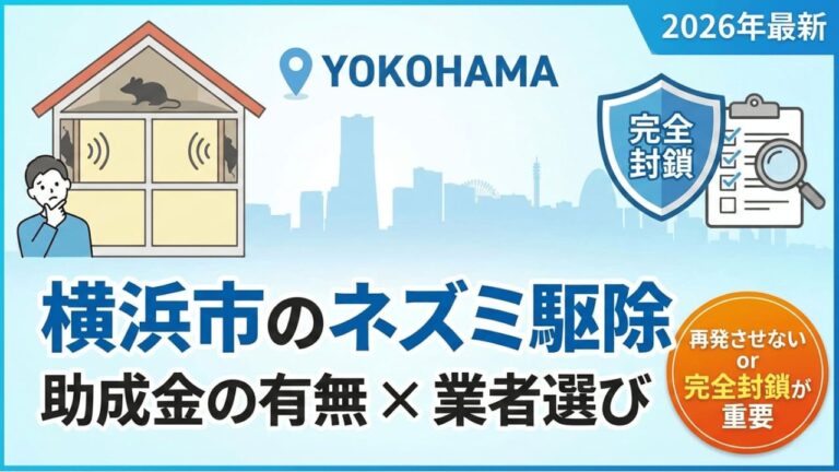 横浜市のネズミ駆除　助成金の有無と再発させない業者選びを解説