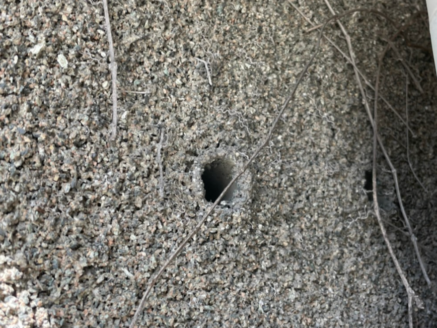 外壁の穴