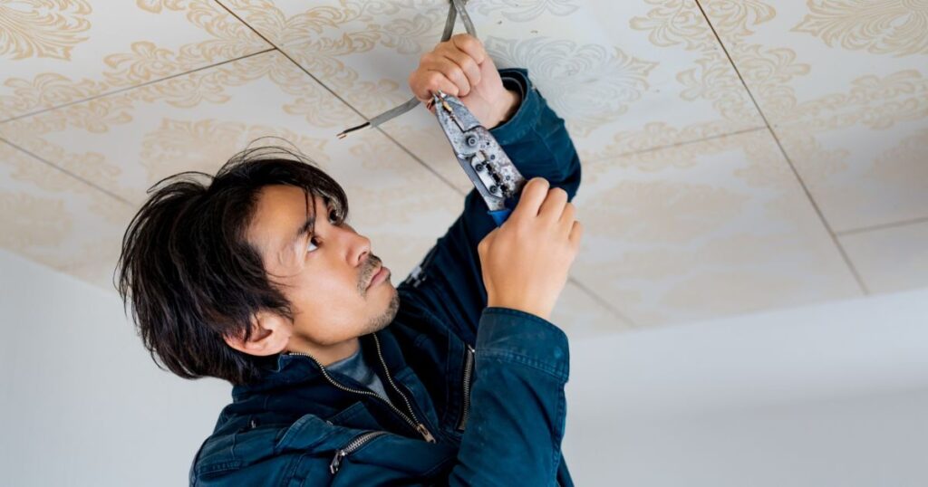 埼玉県のネズミ駆除実績・施工事例