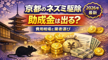 【2026年】京都のネズミ駆除に助成金は出る？業者の選び方と費用相場をプロが解説