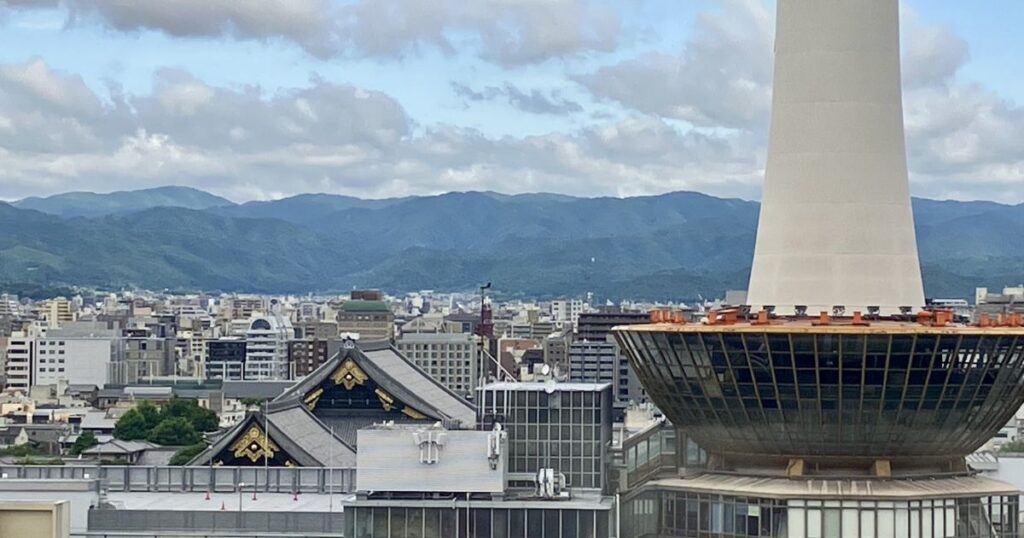 京都でおすすめのネズミ駆除業者ランキングTOP3