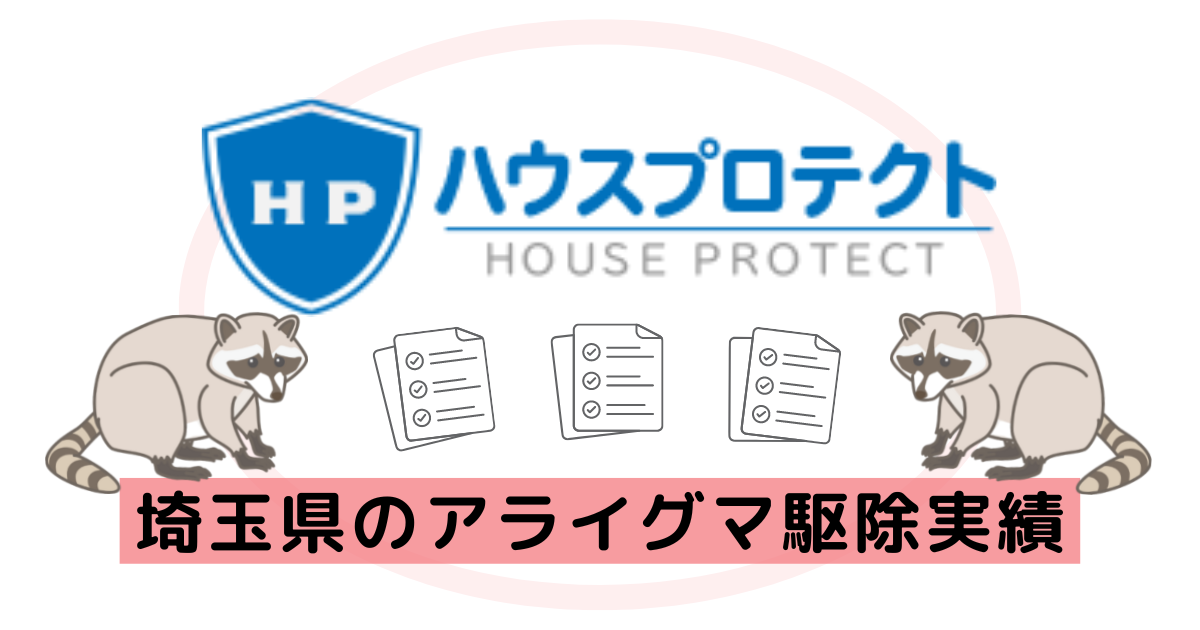 埼玉県のアライグマ駆除実績！プロが施工事例を写真付きで解説