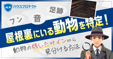 屋根裏にいる動物を特定！動物の残したサインから見分ける方法