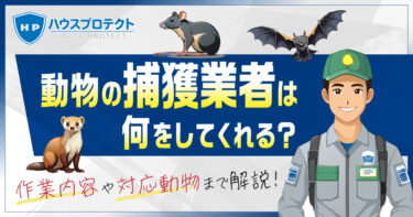 動物の捕獲業者は何をしてくれる？作業内容や対応動物まで解説！