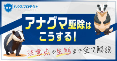 アナグマ駆除はこうする！注意点や生態まで全て解説