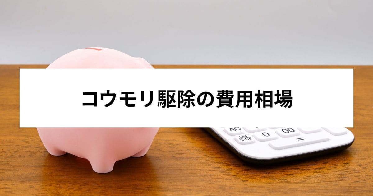 コウモリ駆除の費用相場