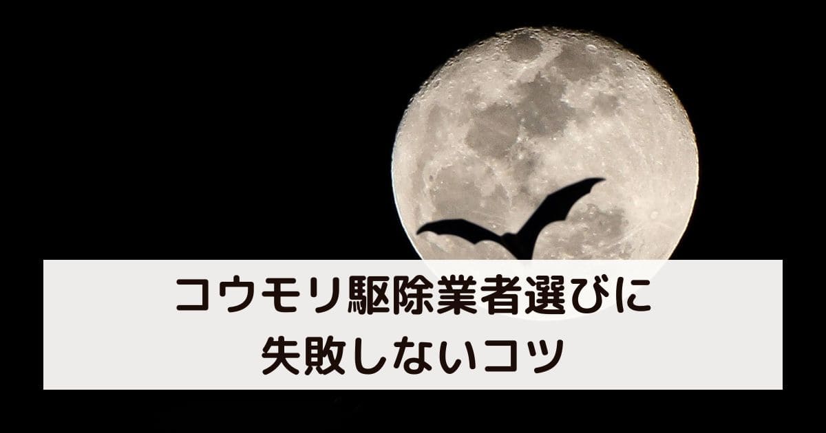 コウモリ駆除業者選びに失敗しないコツ
