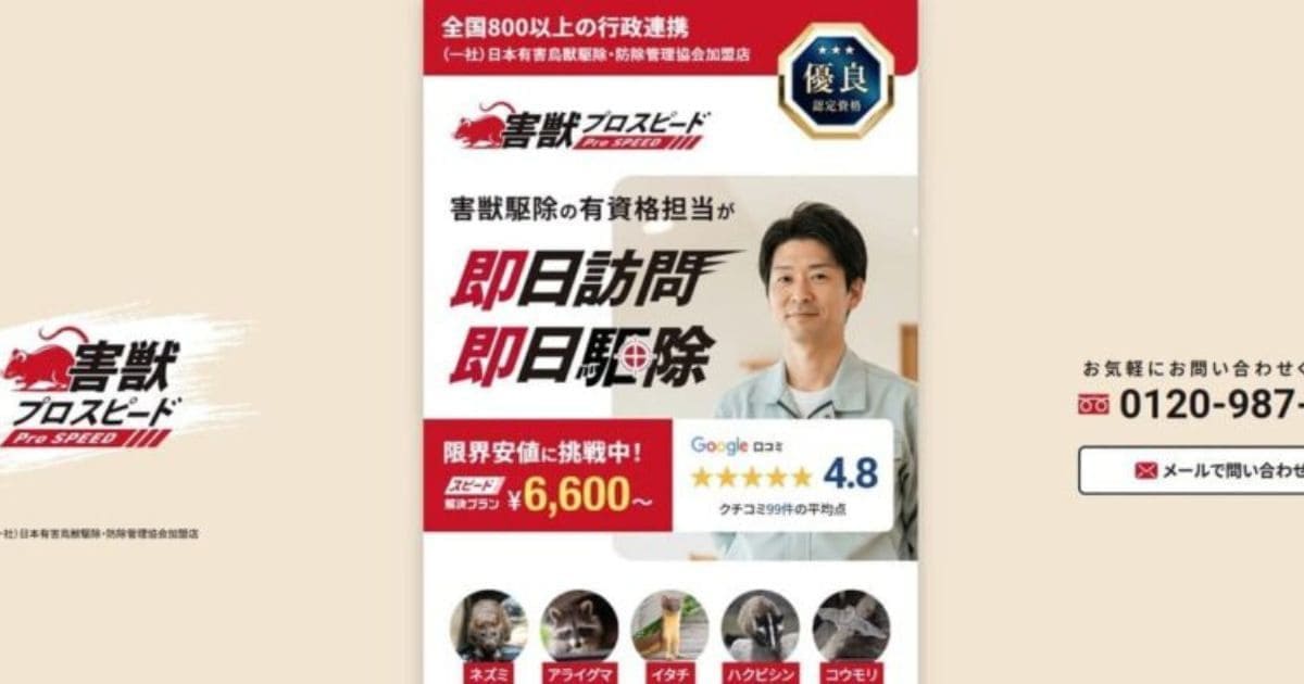 コウモリ駆除業者　おすすめ　害獣プロスピード