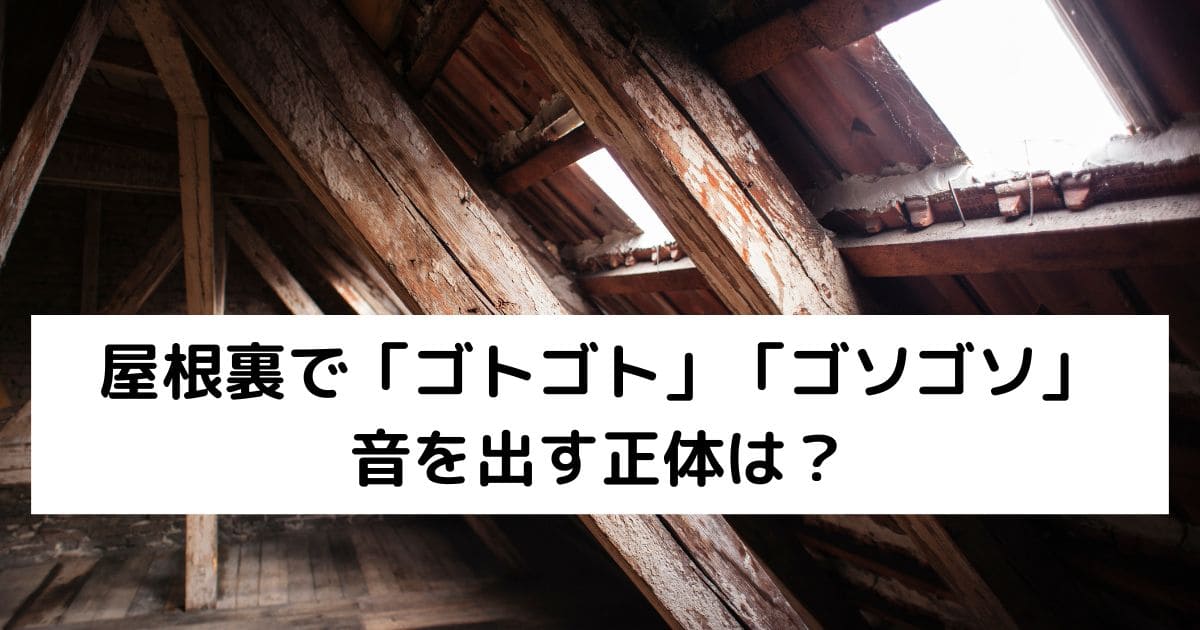 屋根裏で「ゴトゴト」「ゴソゴソ」音を出す正体は？