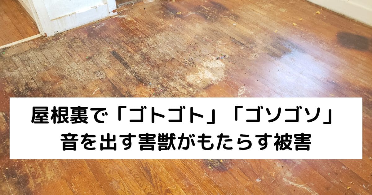 屋根裏で「ゴトゴト」「ゴソゴソ」音を出す害獣がもたらす被害