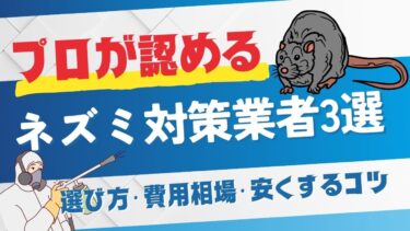 ネズミ対策業者おすすめ3社！選び方・費用相場・安くするコツをプロが解説！