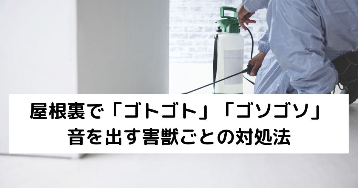 屋根裏で「ゴトゴト」「ゴソゴソ」音を出す害獣ごとの対処法