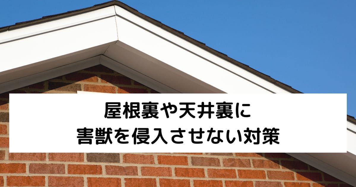 屋根裏や天井裏に害獣を侵入させない対策
