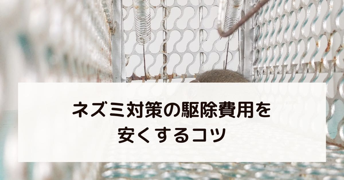 ネズミ対策の駆除費用を安くするコツ