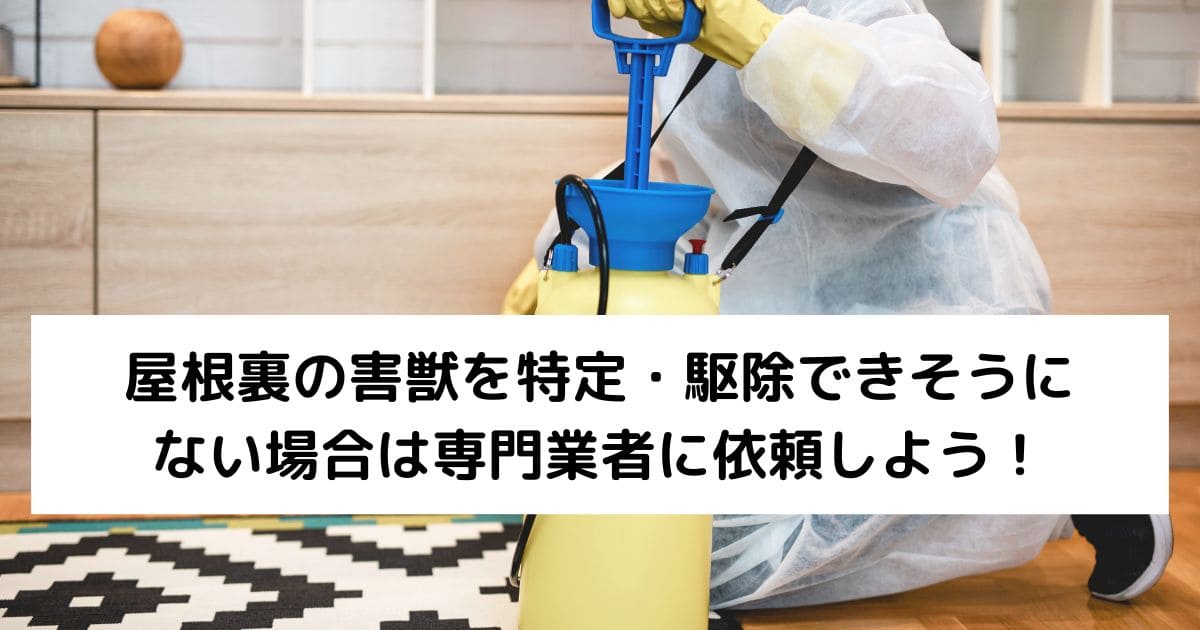 屋根裏の害獣を特定・駆除できそうにない場合は専門業者に依頼しよう！