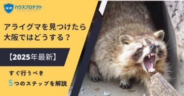 アライグマを見つけたら大阪ではどうする？【2025年最新】すぐ行うべき5つのステップを解説