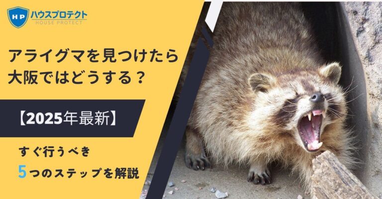 アライグマを見つけたら大阪ではどうする？【2025年最新】すぐ行うべき5つのステップを解説