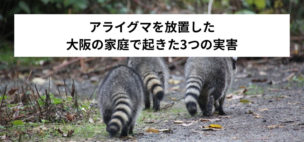 アライグマを放置した大阪の家庭で起きた3つの実害