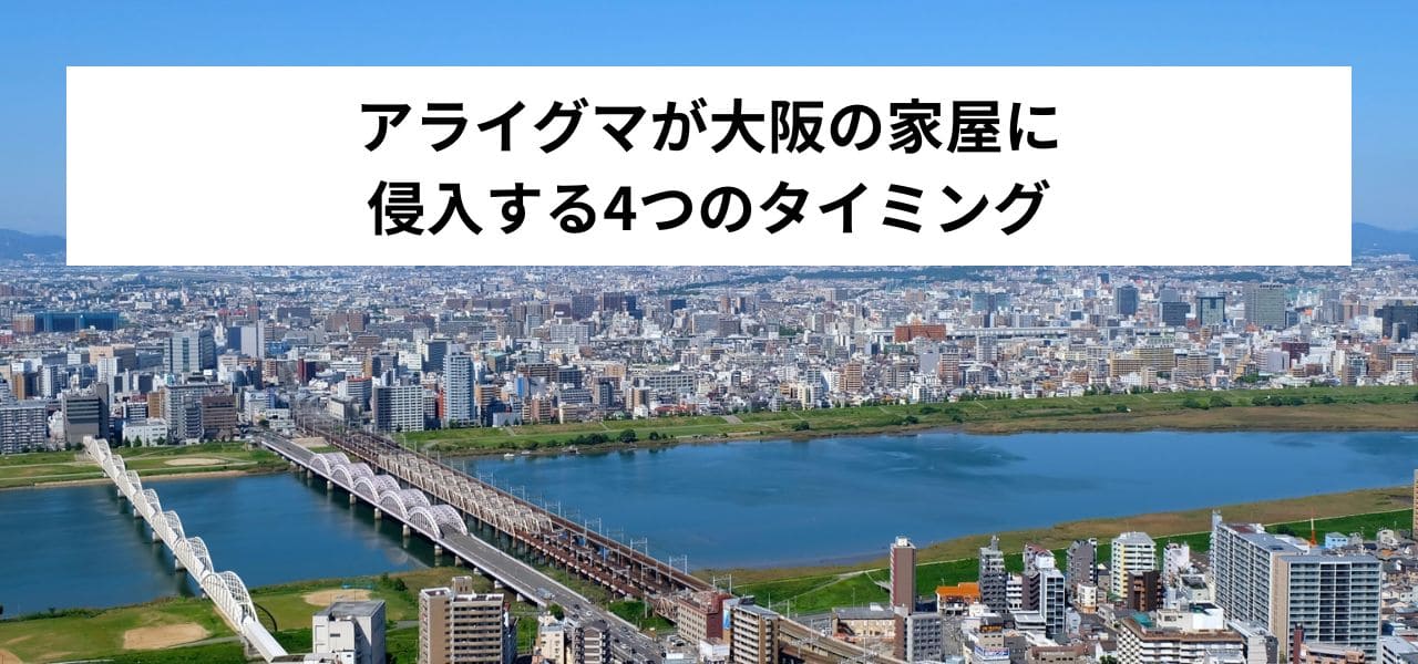 アライグマが大阪の家屋に侵入する4つのタイミング
