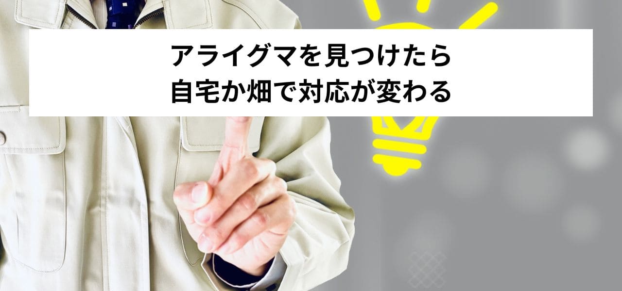 アライグマを見つけたら自宅か畑で対応が変わる