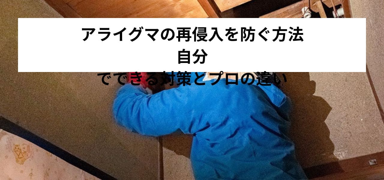 アライグマの再侵入を防ぐ方法|自分でできる対策とプロの違い