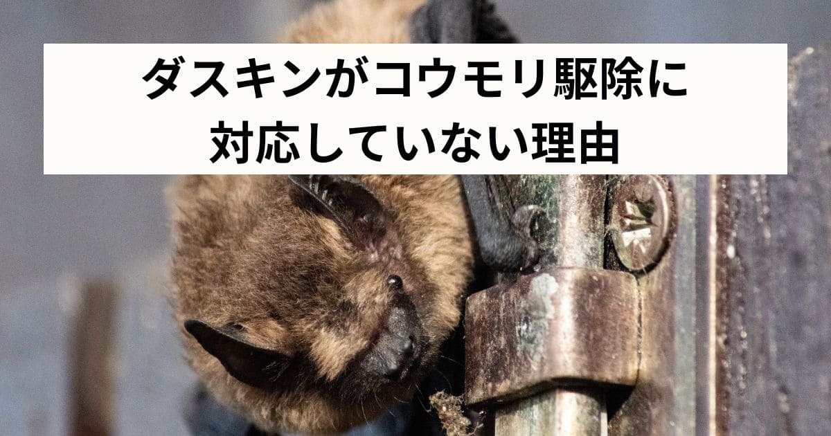 ダスキンがコウモリ駆除に対応していない理由