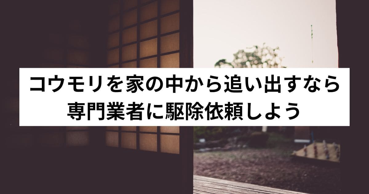 コウモリを家の中から追い出すなら専門業者に駆除依頼しよう