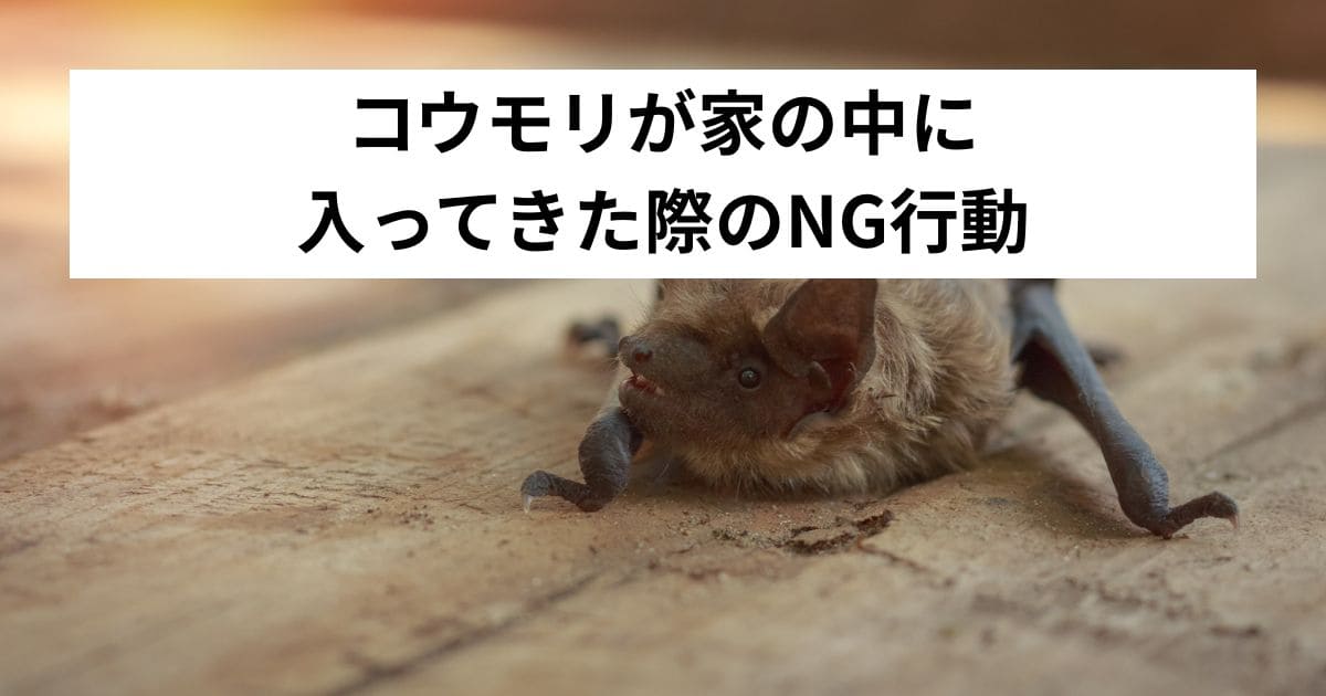 コウモリが家の中に入ってきた際のNG行動