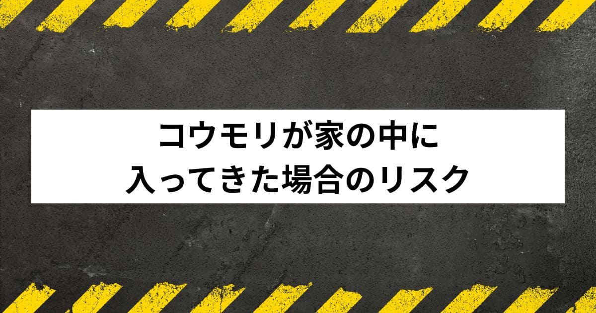 コウモリが家の中に入ってきた場合のリスク