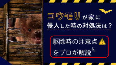 コウモリが家の中に入ってきた時の対処法は？駆除時の注意点をプロが解説！
