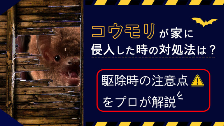 コウモリが家の中に入ってきた時の対処法は？駆除時の注意点をプロが解説！