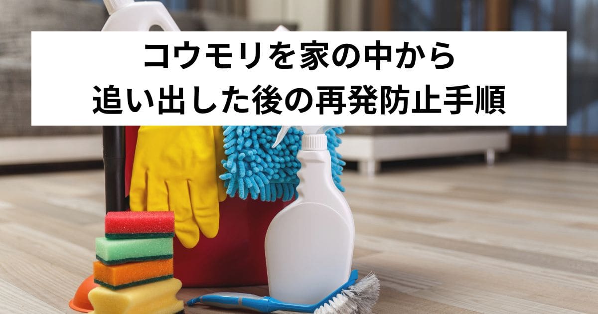 コウモリを家の中から追い出した後の再発防止手順