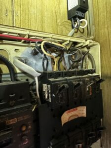 ネズミが家に出たら起こり得る被害　電気コード