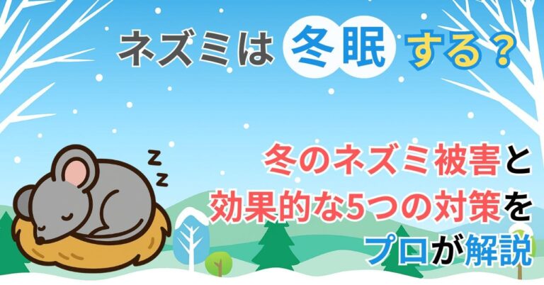 ネズミは冬眠する？冬のネズミ被害と効果的な5つの対策をプロが解説