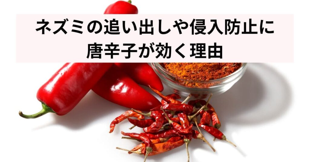 ネズミの追い出しや侵入防止に唐辛子が効く理由