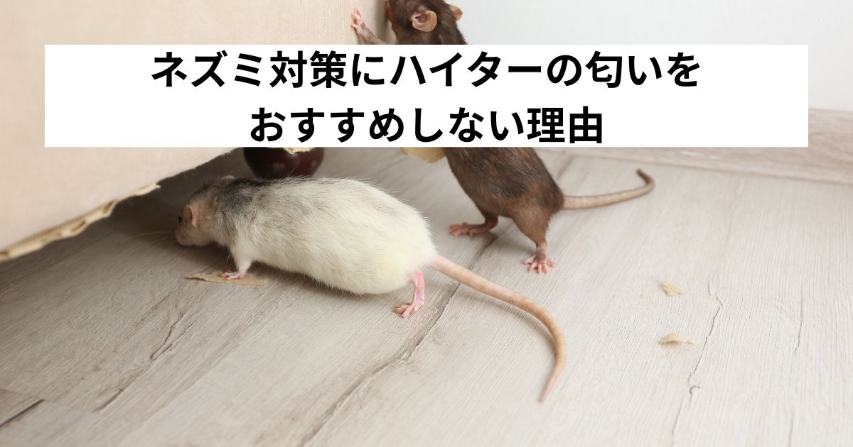 ネズミ対策にハイターの匂いをおすすめしない理由