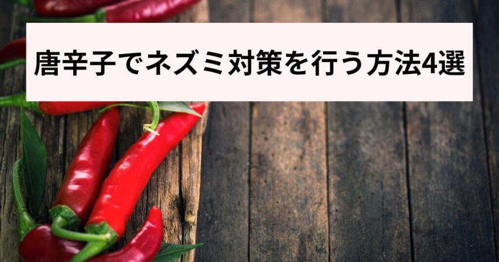 唐辛子でネズミ対策を行う方法4選