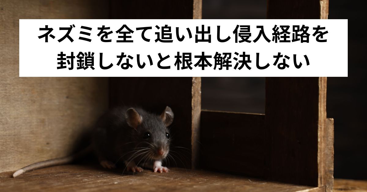 ネズミを全て追い出し侵入経路を封鎖しないと根本解決しない
