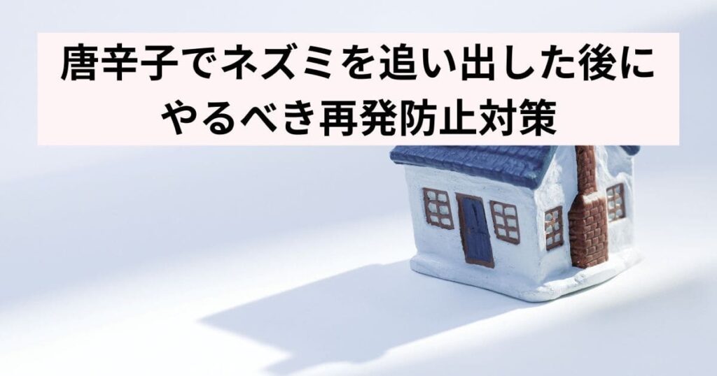 唐辛子でネズミを追い出した後にやるべき再発防止対策