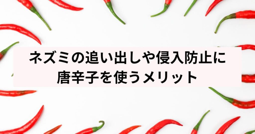 ネズミの追い出しや侵入防止に唐辛子を使うメリット