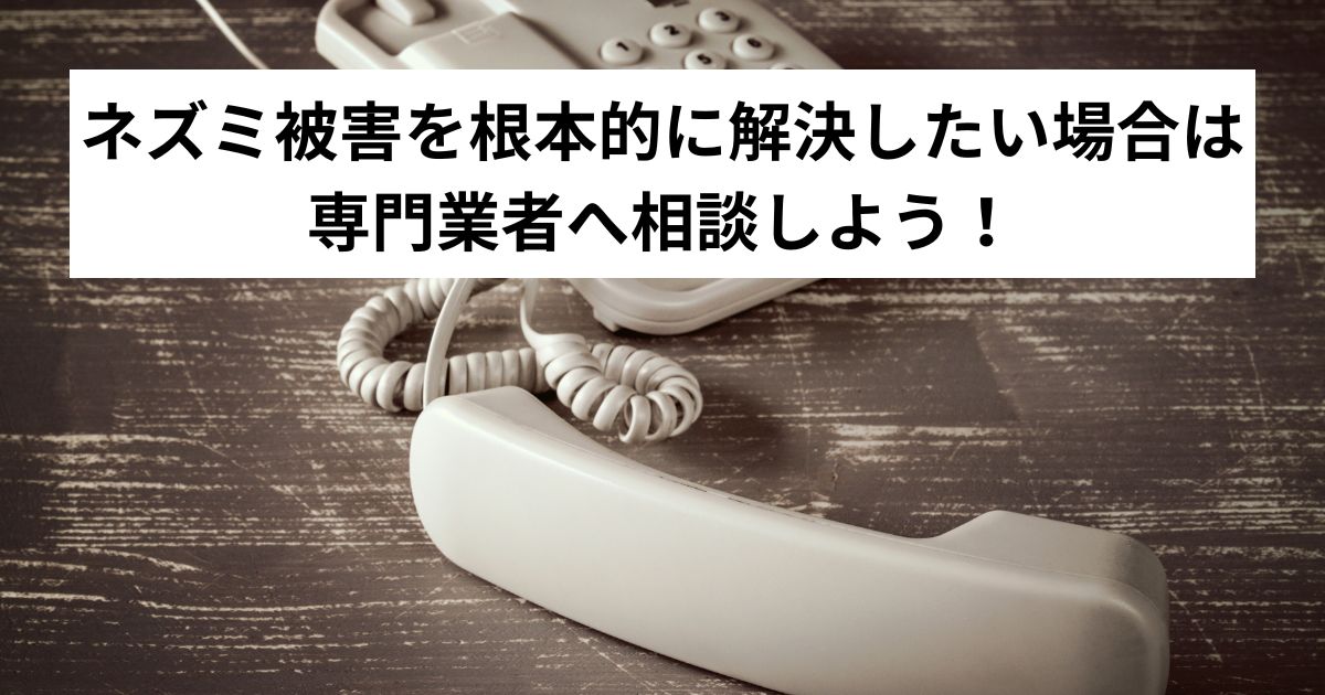 ネズミ被害を根本的に解決したい場合は専門業者へ相談しよう！