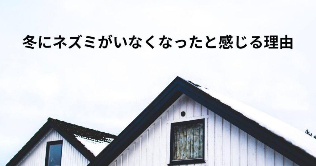 冬にネズミがいなくなったと感じる理由
