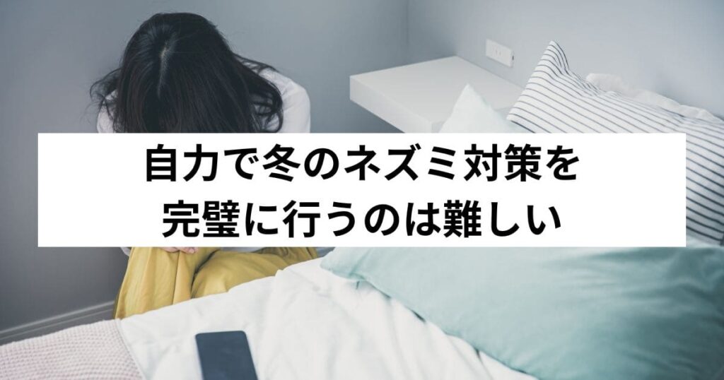 自力で冬のネズミ対策を完璧に行うのは難しい