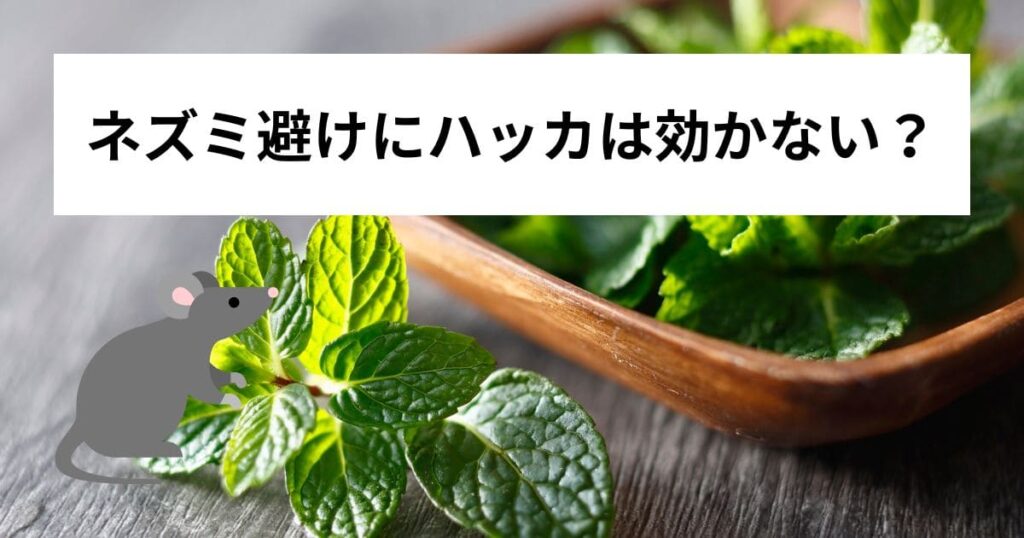 ネズミ避けにハッカは効かない？