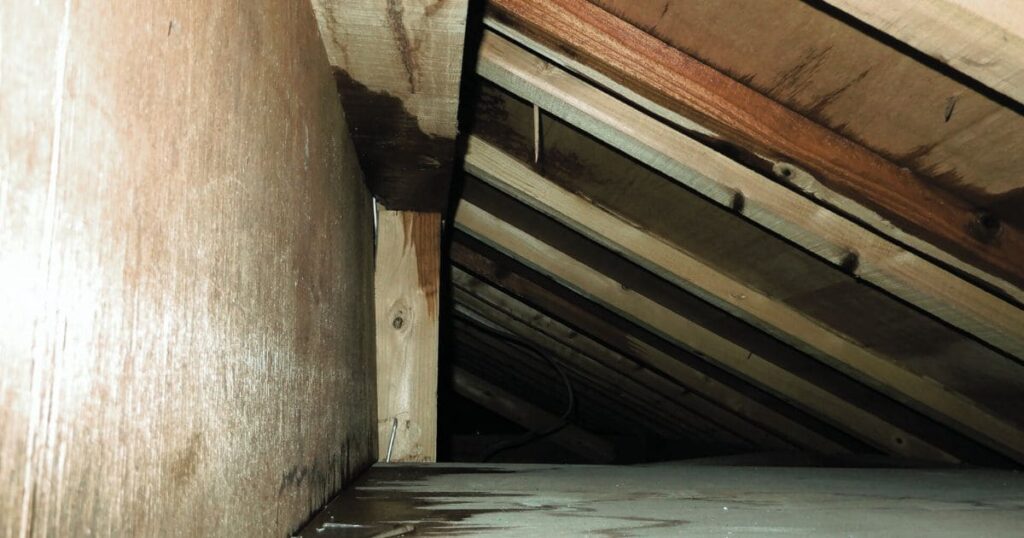 ネズミが屋根裏で走り回る6つの理由