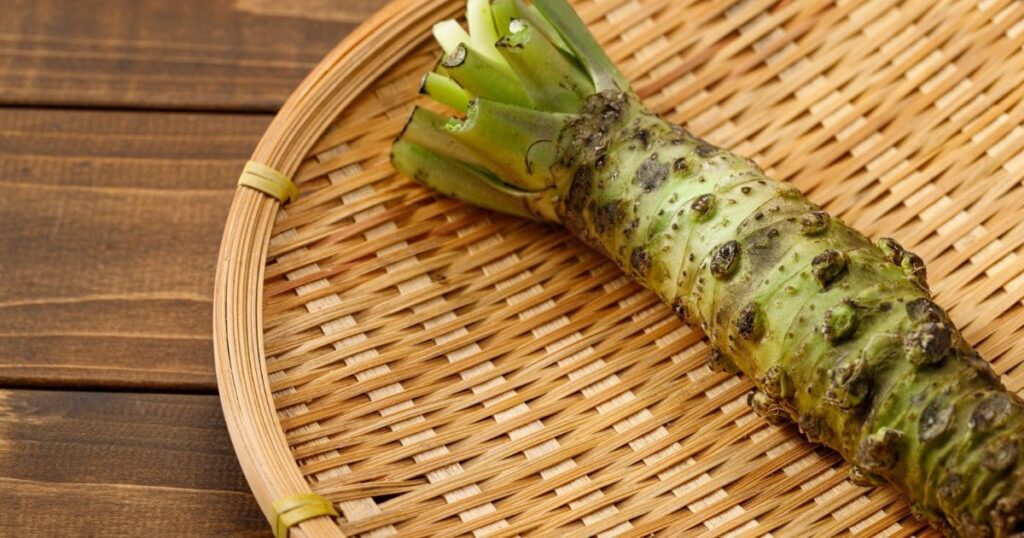 ネズミにわさびは効果あり？嫌う理由と成分