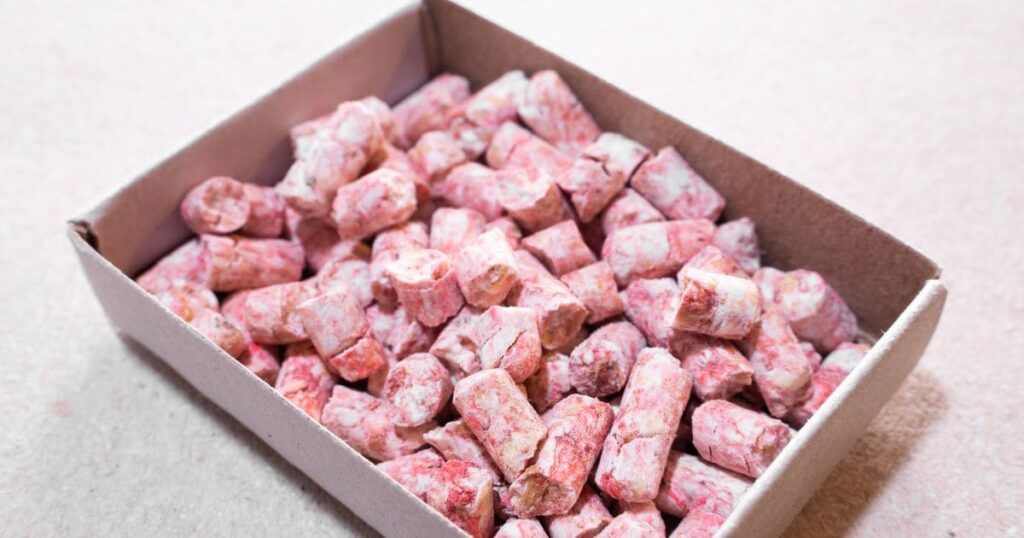 ネズミ駆除用の毒餌の種類と選び方