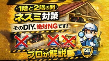 1階と2階の間にネズミ？音を止める方法と絶対NGな対策をプロが解説