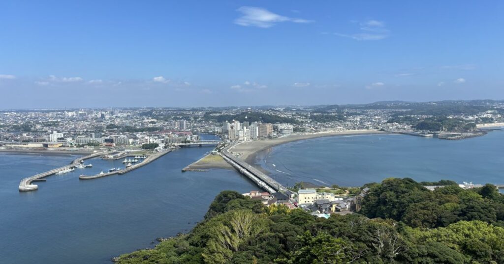 神奈川県のネズミ駆除業者おすすめランキングTOP3